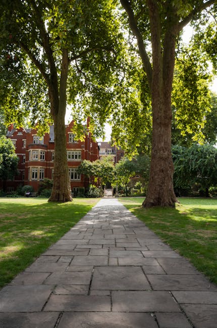 A paved stone pathway runs through a well-maintained garden, flanked by lush green grass and mature trees with dense foliage. In the distance, red-brick residential buildings with detailed architecture can be seen, framed by the leafy branches overhead. The sunlight filters through the leaves, casting dappled light onto the pathway and surrounding areas. The garden appears tidy and inviting, with evenly trimmed grass and trees that are likely part of ongoing garden maintenance. This outdoor space showcases elements typical of landscaping work aimed at creating a welcoming and aesthetically pleasing environment, reflecting the services of Gardeners St. John's Wood, as highlighted on the page about avoiding hidden garden maintenance charges in St Johns Wood.