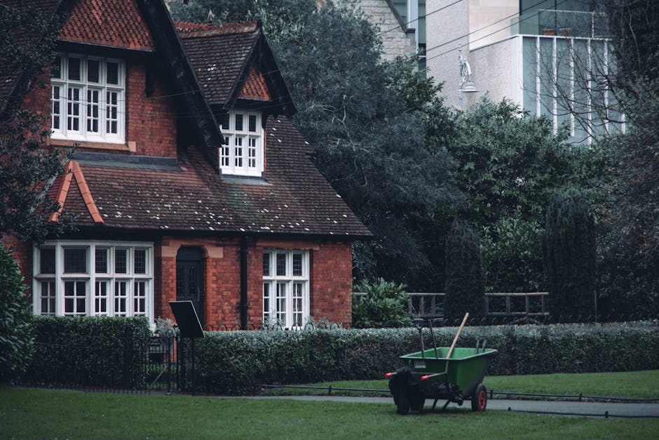 A small, well-maintained garden in front of a traditional red-brick house features a neatly trimmed hedge bordering a lush green lawn. On the lawn, a green wheelbarrow filled with gardening tools, including a rake and a spade, rests on the grass. The garden bed along the house's front has organized planting areas with a variety of shrubs and small plants, some with dark green, glossy leaves, while others have lighter foliage. A paved pathway runs through the garden, partially visible near the hedge, providing access for garden maintenance. Tall trees and dense bushes surround the garden, creating a private outdoor space. The house has white-framed bay windows with a traditional design, and the roof is covered with red tiles, some of which are weathered with moss. A black garden chair leans against the hedge, and gardening activities might be underway, fitting with landscape upkeep and lawn care themes. Overall, the scene reflects a tidy, cared-for garden area, suggesting professional gardening services by Gardeners St. John's Wood are involved in maintaining its appearance, consistent with what to check for licensed, insured gardeners in St Johns Wood.