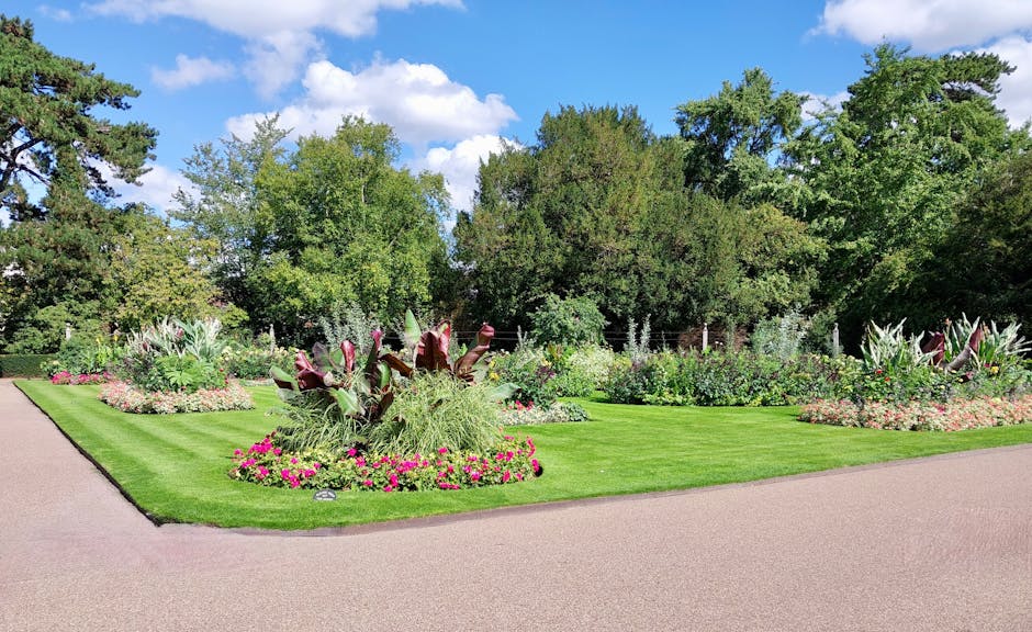 A well-maintained garden with neatly trimmed grass and vibrant flower beds arranged in circular and irregular shapes. In the foreground, a curved gravel pathway borders lush green lawns and diverse planting areas. The flower beds feature a variety of colorful plants, including tall, leafy shrubs with purple and silver foliage, and clusters of pink flowers. Behind the flower borders, there are dense, mature trees with full green canopies, providing a natural backdrop and shade. The textures include smooth, freshly cut grass, soft flower petals, and textured tree bark. The garden appears to be in the midst of routine maintenance, with no visible tools or workers but a focus on careful trimming and landscaping. The bright daylight and clear blue sky suggest a calm, sunny day, perfect for outdoor garden care. The scene exemplifies professional garden landscaping, likely carried out by Gardeners St. John's Wood, on Abbey Road, emphasizing tidy lawns and aesthetic planting arrangements.