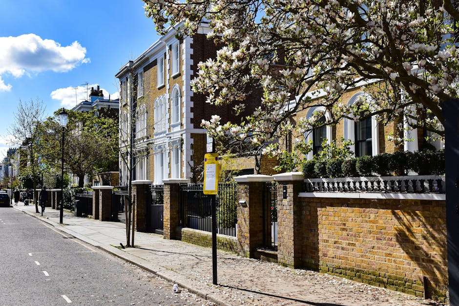 A residential street along Abbey Road in St Johns Wood featuring elegant Victorian-style townhouses with brick facades and white decorative trim. The properties are surrounded by low brick walls topped with black wrought iron fences, and each has neatly maintained front gardens with trimmed hedges and small trees. One garden has a blooming tree with white flowers, casting dappled shadows on the sidewalk. The street is lined with young, leafless trees, supported by wooden stakes, and vintage-style street lamps. The well-kept grass lawns and garden beds display a range of textures from lush green grass to the neat edges of flowerbeds, with some areas showing freshly cut or trimmed plants. The sky is partly cloudy with a bright, natural daylight illuminating the scene. Gardeners St. John's Wood practices in garden maintenance, with the tidy arrangement and landscaping enhancing the residential area's appeal, creating a charming and well-maintained outdoor environment.